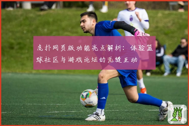 虎扑网页版功能亮点解析：体验篮球社区与游戏论坛的无缝互动